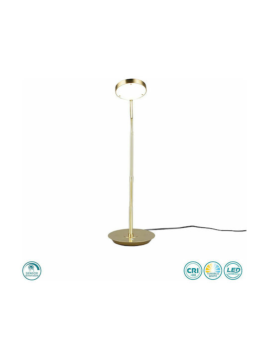 Trio Lighting Monza LED Office Lamp with Flexible Arm in Gold Color