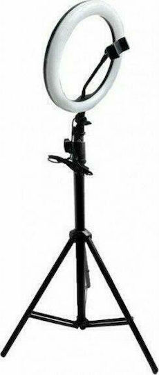 Andowl Ring Lamp Ring Light 26cm 3200 - 5600K με Τρίποδο Δαπέδου και Βάση για Κινητό