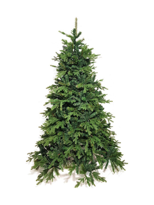 Christmas Tree Deaware Silver Fir 210pcs