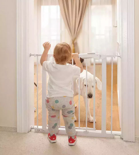 Lionelo Truus Slim Foldable Security Door Simple Placement made of Metal in Gray Color 105x78cm 1pcs