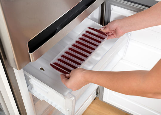 Nava Terrestrial Ice Cube Mold Stick Plastic 10 Slots Red 10-202-043