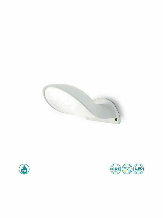 Gea Luce Wall-Mounted Outdoor Spot Light LED IP65 10W with Natural White Light