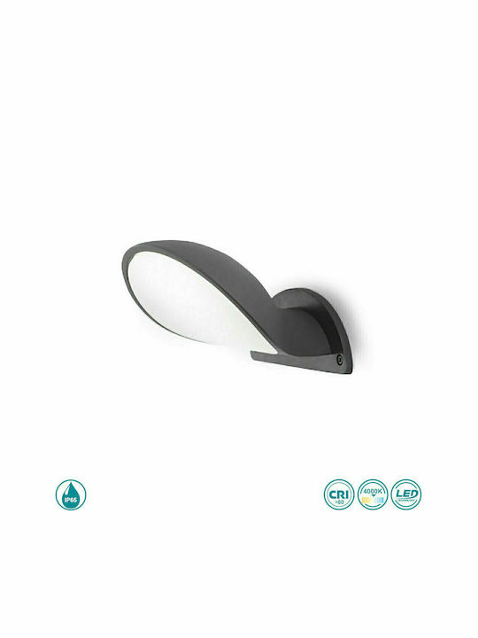 Gea Luce Wall-Mounted Outdoor Spot Light LED IP65 10W with Natural White Light