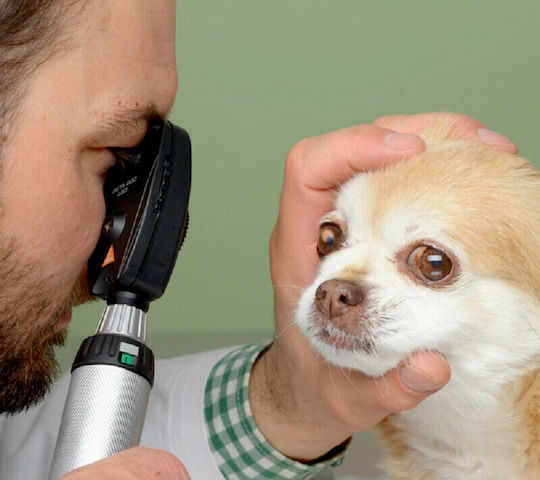 Heine Beta 200 Otoscope