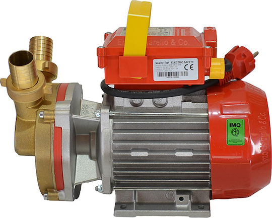 Rover Pompe ROVER 40 CE Single Phase Transfer Pump with 1 - 1/2" Inlet and 1hp Horsepower