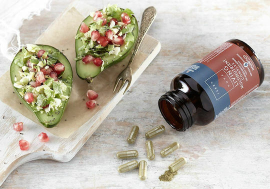 TerraNova Living Multinutrient Complex Multivitamin for Energy 900mg 50 veg. caps