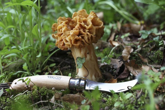 Opinel Νο.08 Σουγιάς Καφέ 001252