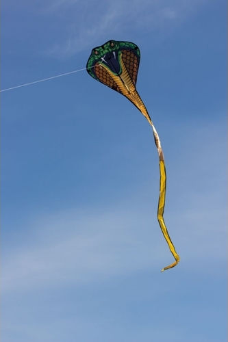 Gunther Kite Cobra Fabric with Tail, Twine & Storage Bag 400x69cm 1pcs