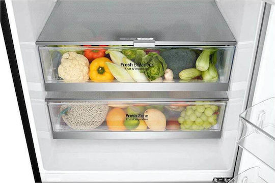 LG Ψυγειοκαταψύκτης 462lt Total NoFrost Υ185xΠ70.5xΒ74εκ. Μαύρος GBB569MCAMB