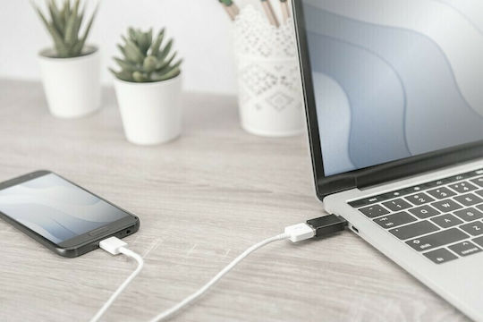 Digitus AK-300506-000-S Μετατροπέας USB-C male σε USB-A female