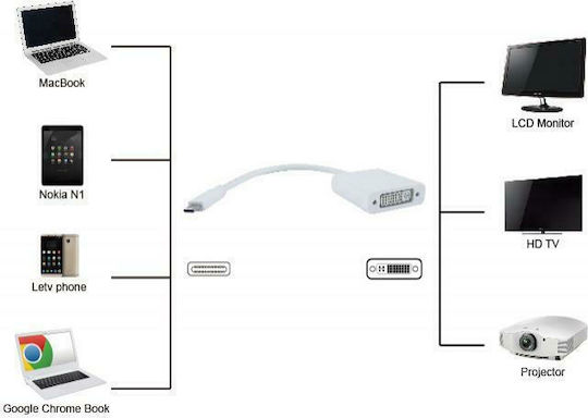 Powertech Конвертор USB-C мъжки към DVI-I женски Бял 1бр PTH-036