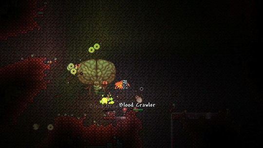 Terraria PS4 Game