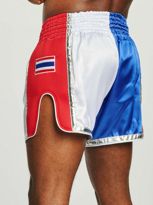 Leone AB875 Shorts Kick/Thai-Boxen Mehrfarbig