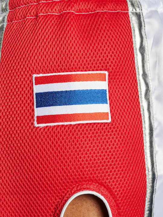 Leone Bărbați Shorts Kick/Thai Boxing Multicolor