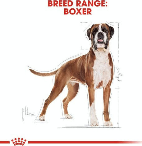 Royal Canin Adult Boxer 12kg Dry Food for Adult Medium Breed Dogs with Poultry and Rice