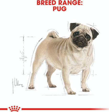 Royal Canin Adult Pug 1.5kg Dry Food for Adult Small Breed Dogs with Poultry and Rice