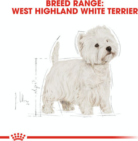 Royal Canin West Highland White Terrier Adult 3kg Dry Food for Adult Small Breed Dogs with Rice and Chicken