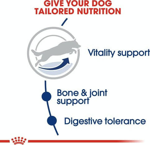 Royal Canin Maxi Adult 5+ 15kg Dry Food Gluten-Free for Adult Large Breed Dogs with Chicken and Rice