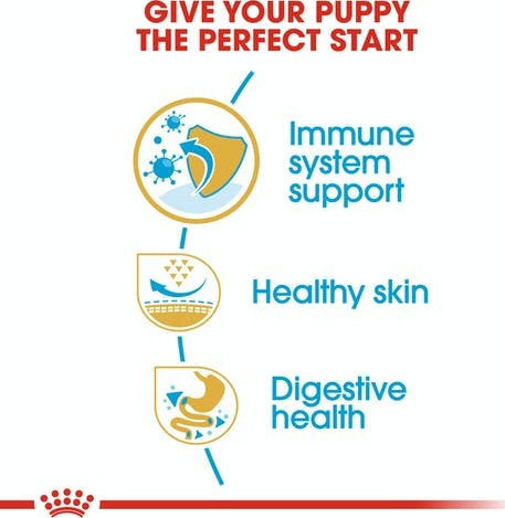 Royal Canin Pug Junior 1.5kg Dry Food for Small Breed Puppies with Poultry and Rice