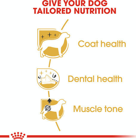 Royal Canin Poodle Adult 1.5kg Dry Food for Adult Small Breed Dogs with Poultry and Rice