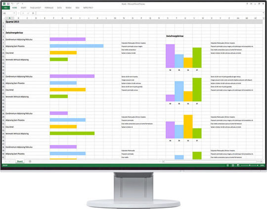 Eizo EV2456 IPS Monitor 24.1" FHD 1920x1200 mit Reaktionszeit 5ms GTG