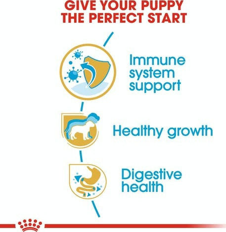 Royal Canin Puppy Jack Russell Terrier 1.5kg Dry Food for Small Breed Puppies with Poultry and Rice