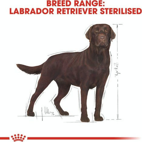 Royal Canin Sterilised Labrador Retriever 12kg Hrană Uscată pentru Câini Adulţi Sterilizaţi de Rase Mari cu Păsări de curte și Orez