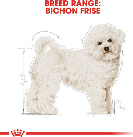 Royal Canin Bichon Frise Adult 1.5kg Dry Food for Adult Small Breed Dogs with Brown rice and Chicken