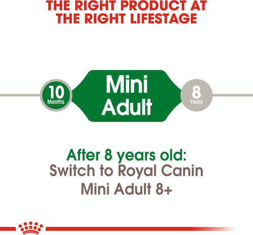 Royal Canin Mini Adult 4kg Dry Food Gluten-Free for Adult Small Breed Dogs with Poultry