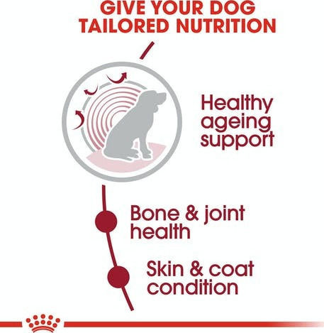Royal Canin Medium Ageing 10+ 3kg Dry Food for Senior Medium Breed Dogs with Poultry and Rice