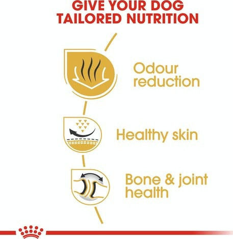 Royal Canin Adult Bulldog 12kg Dry Food Gluten-Free for Adult Small Breed Dogs with Poultry and Rice