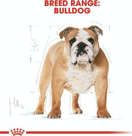 Royal Canin Adult Bulldog 12kg Dry Food Gluten-Free for Adult Small Breed Dogs with Poultry and Rice