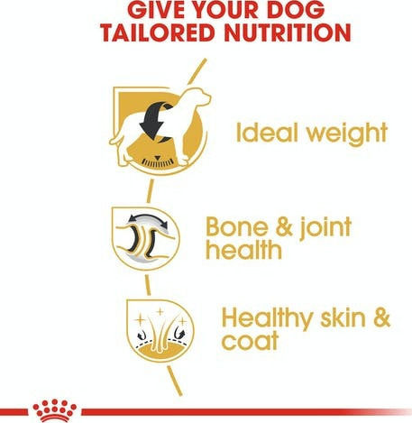 Royal Canin Adult Labrador Retriever 12kg Dry Food Gluten-Free for Adult Large Breed Dogs with Poultry and Rice