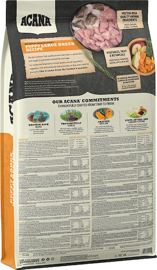 Acana Puppy Large Breed 11.4kg Dry Food Grain-Free for Large Breed Puppies with Turkey and Chicken
