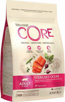 Wellness Core Sterilised Ocean Ξηρά Τροφή για Ενήλικες Στειρωμένες Γάτες με Σολομό 0.3kg