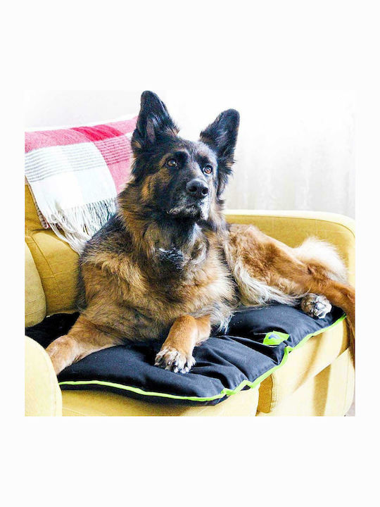 Ferplast Jolly Kopfkissen für Hunde Rechteck Schwarz 110x80cm.
