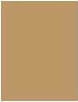 Dermacol Collagen Make-up SPF10 Liquid Make Up 4.0 Tan 20ml