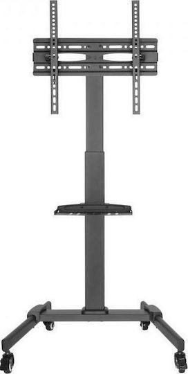 Sbox FS-224 Δαπέδου έως 55" και 35kg