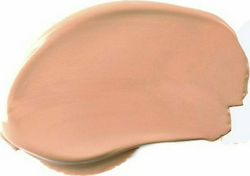 Radiant Natural Fix All Day Matt Liquid Make Up...