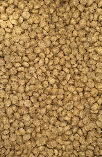 Viozois Exclusive Line Premium 15kg Ξηρά Τροφή χωρίς Σιτηρά για Ενήλικους Σκύλους με Κοτόπουλο