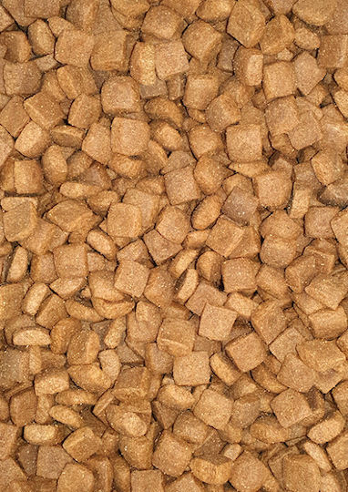 Viozois Senior Gluten Free Adult 12kg Dry Food Gluten-Free for Adult Dogs with Chicken