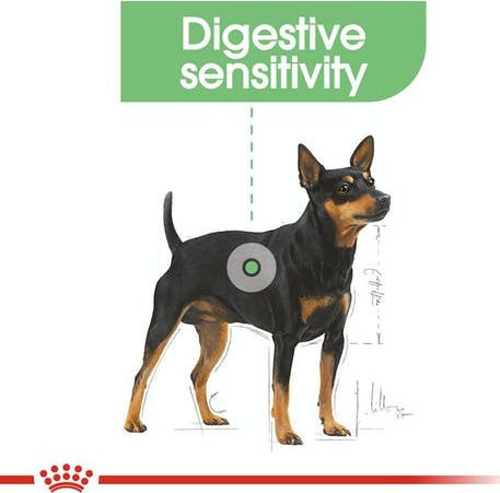 Royal Canin Digestive Care Mini 1kg Dry Food Diet for Adult Small Breed Dogs with Poultry and Rice