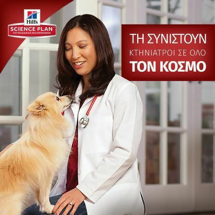 Hill's Science Plan Mature Adult 6+ Active Longevity Large Breed 14kg Hrană Uscată pentru Câini Adulţi de Rase Mari cu Pui