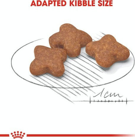 Royal Canin Mini Adult 8+ 2kg Dry Food Gluten-Free for Adult Small Breed Dogs with Poultry and Rice