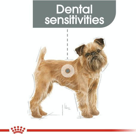 Royal Canin Dental Care Mini 3kg Dry Food Gluten-Free for Adult Small Breed Dogs with Poultry