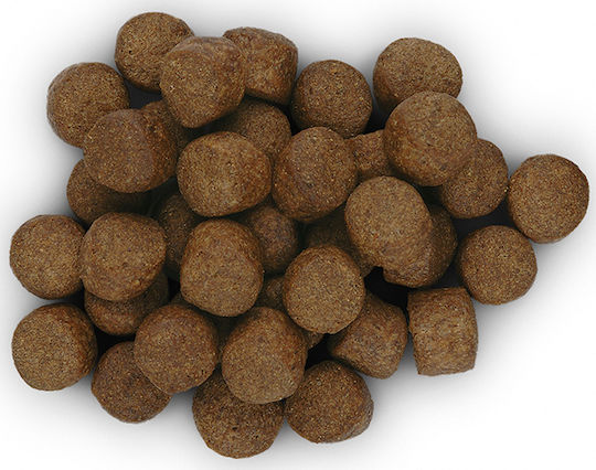 Hill's Hill's Prescription Diet Z/D Food Sensitivities 10kg Dry Food Gluten-Free for Adult Dogs with Liver