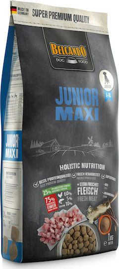 Junior Maxi 1kg Dry Food Diet, Grain-Free for Large Breed Puppies with Chicken and Fish
