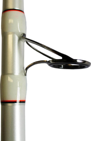Oceanic Distance Καλάμι Ψαρέματος για Surf Casting 4.20m 80-170gr