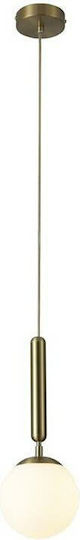 Rabalux Divina Pendant Light Gold Ball with Socket E14, E.14 28x28.5cm