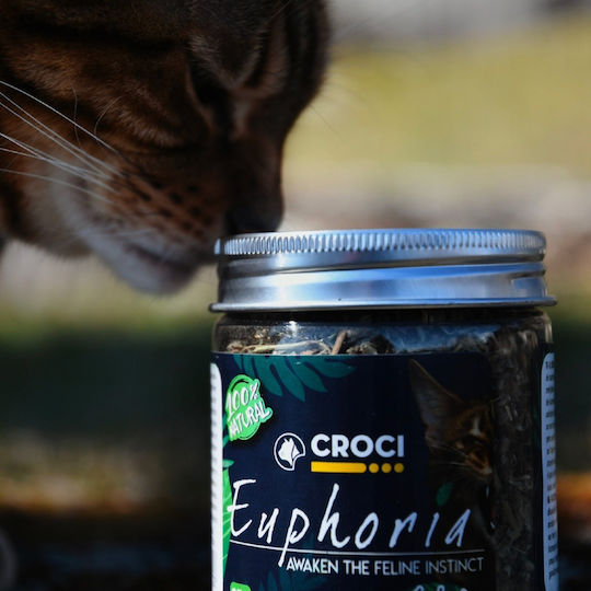 Croci Cat Euphoria Catnip Σκόνη για Ενίσχυση Εγκεφαλικής Λειτουργίας 25gr